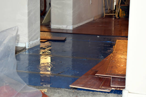 Professional Water Damage Restoration technician working in Hinckley, ME